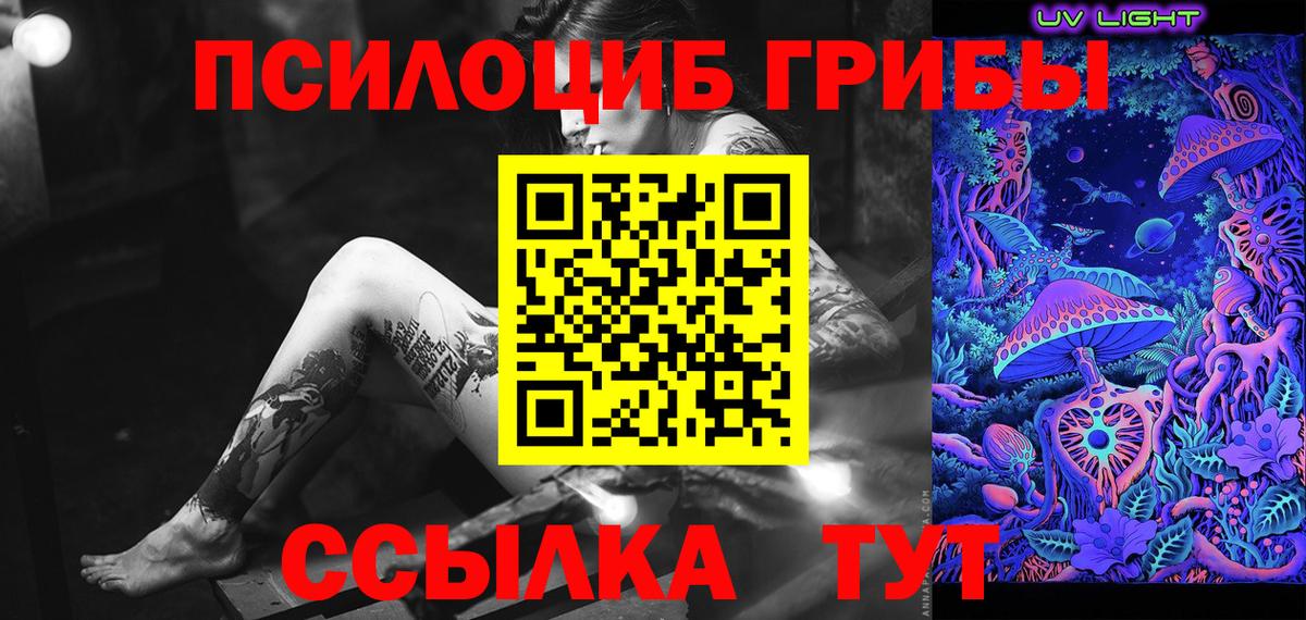 Псилоцибиновые грибы ЛСД  даркнет сайт  Качканар  Галлюциногенные грибы Psilocybe  Вход с VPN 